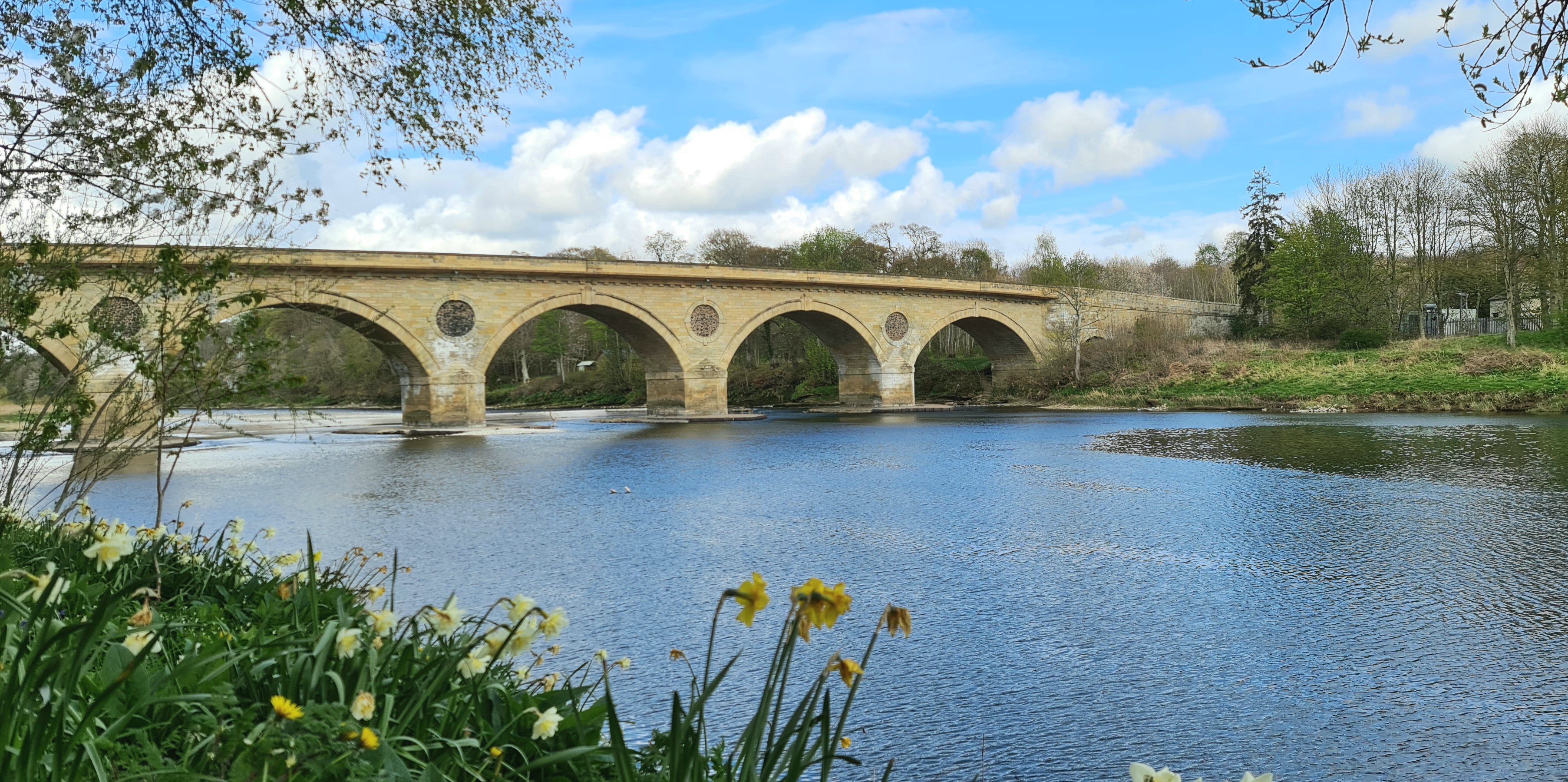 Coldstream Bridge over the River Tweed, showing its sandstone segmental arches, projecting piers and circular masonry roundels.