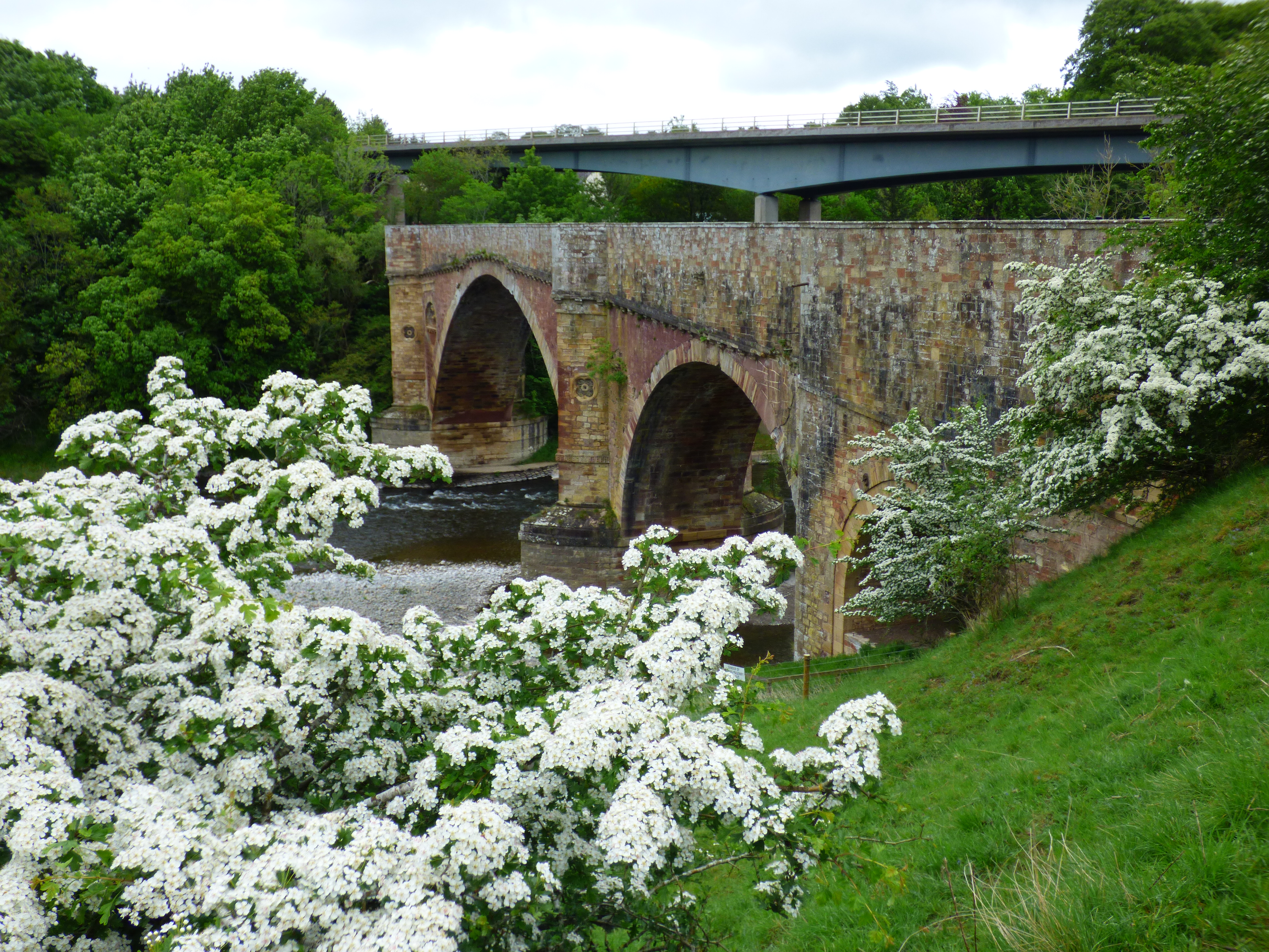 Drygrange Old Bridge crossing the River Tweed beside the later road bridge near Melrose